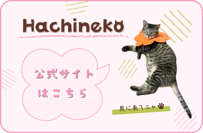 Hachineko 公式サイト