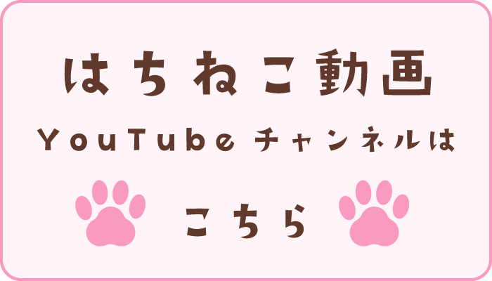 はちねこ動画 YouTubeチャンネルはこちら